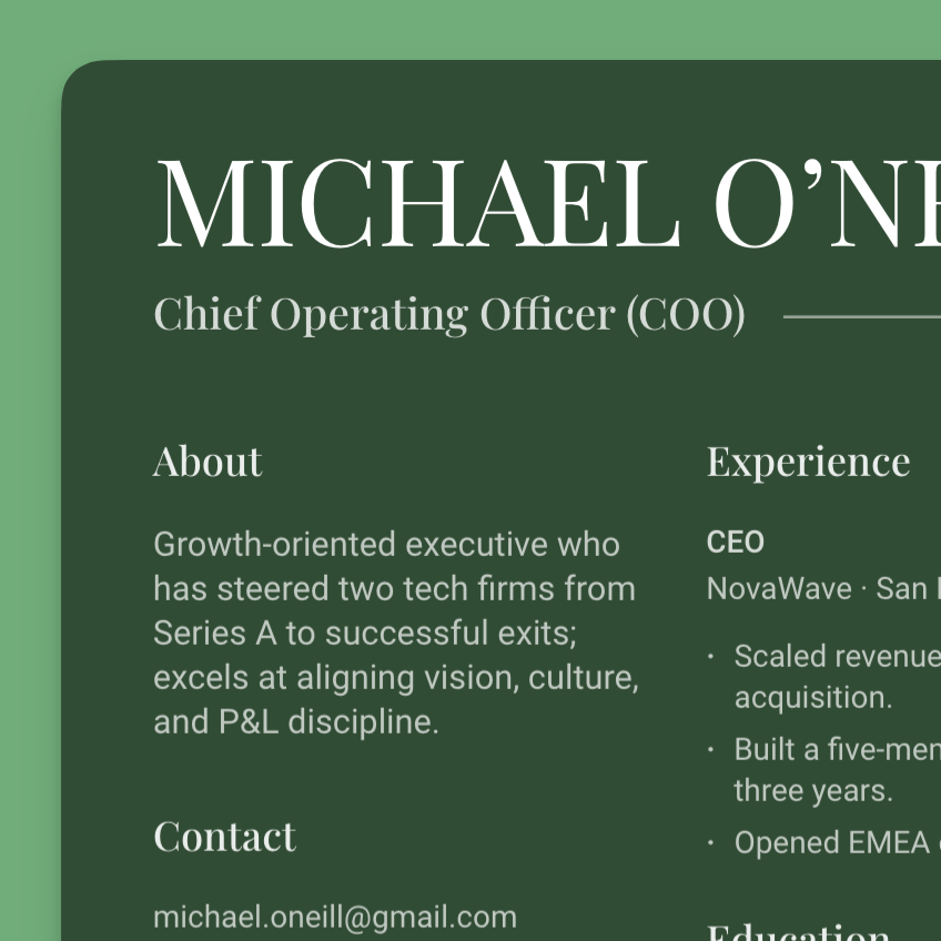 Executive Job Seekers